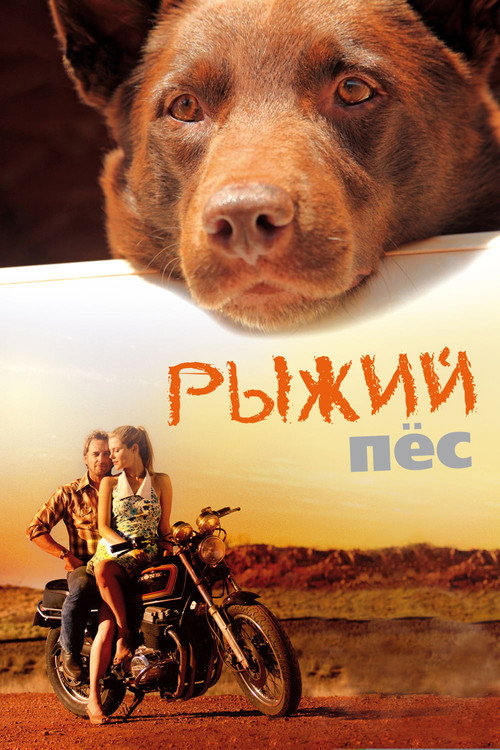 Poster for Рыжий пёс