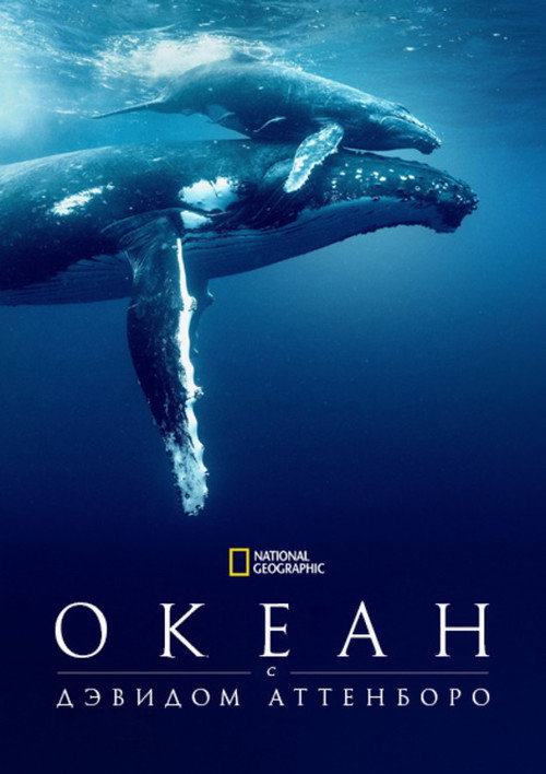 Poster for Океан с Дэвидом Аттенборо