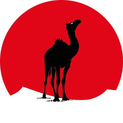 Каталог сериалов от студии Black Camel Pictures - Рейтинги, отзывы, дата выхода на CUB