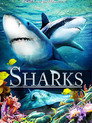 Poster for Sharks (in 3D)