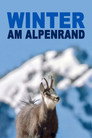 Poster for Белая зима