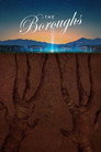 Poster for season 1 of Бороуз