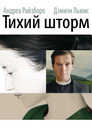 Poster for The Silent Storm