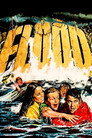 Poster for Flood!