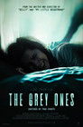 Poster for The Grey Ones