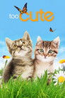 Poster for Too Cute