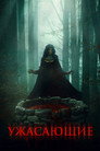 Poster for The Well