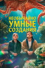 Poster for Remarkably Bright Creatures
