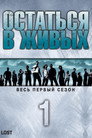Poster for season 1 of Остаться в живых