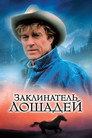 Poster for Заклинатель лошадей
