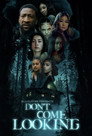 Poster for Don't Come Looking