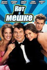 Poster for Кот в мешке