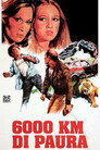 Poster for Сафари Ралли