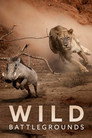Poster for season 1 of Дикие поля сражений