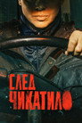 Poster for season 1 of След Чикатило