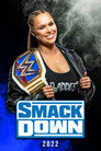 Poster for season 24 of WWE SmackDown
