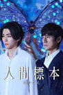 Poster for season 1 of Человеческие образцы