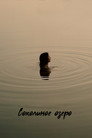 Poster for Соколиное озеро