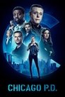 Poster for season 10 of Полиция Чикаго