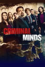 Poster for season 15 of Мыслить как преступник