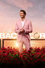Poster for season 28 of Холостяк