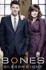 Poster for season 8 of Кости
