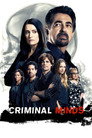 Poster for season 12 of Мыслить как преступник