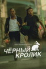Poster for season 1 of Черный кролик