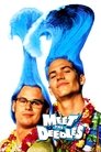Poster for Meet the Deedles