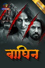 Poster for season 1 of Багин