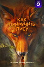 Poster for season 1 of Как приручить лису