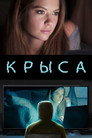 Poster for Крыса