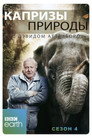 Poster for season 4 of Капризы природы с Дэвидом Аттенборо
