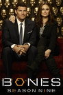 Poster for season 9 of Кости
