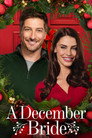 Poster for A December Bride
