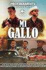 Poster for Mi Gallo