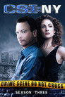 Poster for season 3 of CSI: Место преступления Нью-Йорк