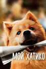 Poster for Мой Хатико