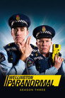 Poster for season 3 of Паранормальный Веллингтон