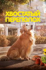 Poster for Dog Days