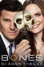 Poster for season 12 of Кости