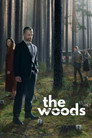 Poster for season 1 of В густом  лесу