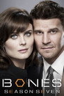 Poster for season 7 of Кости