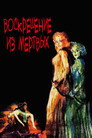 Poster for Back from the Dead