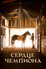 Poster for A Champion Heart