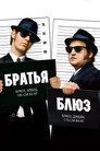 Poster for The Blues Brothers