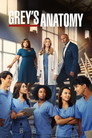 Poster for season 19 of Анатомия страсти