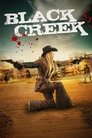 Poster for Black Creek