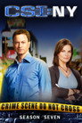 Poster for season 7 of CSI: Место преступления Нью-Йорк