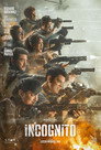 Poster for season 1 of Инкогнито